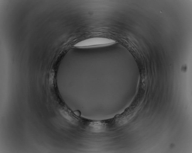 X0000099950231200806201321