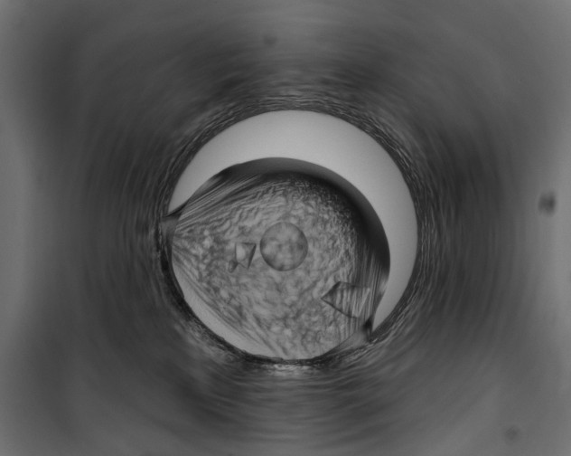X0000099950233200806201321