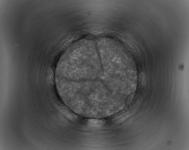 X0000099950234200806201321