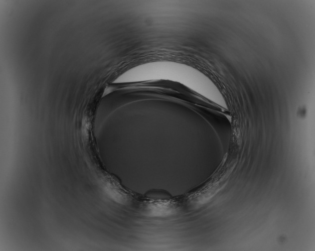 X0000099950235200806201321