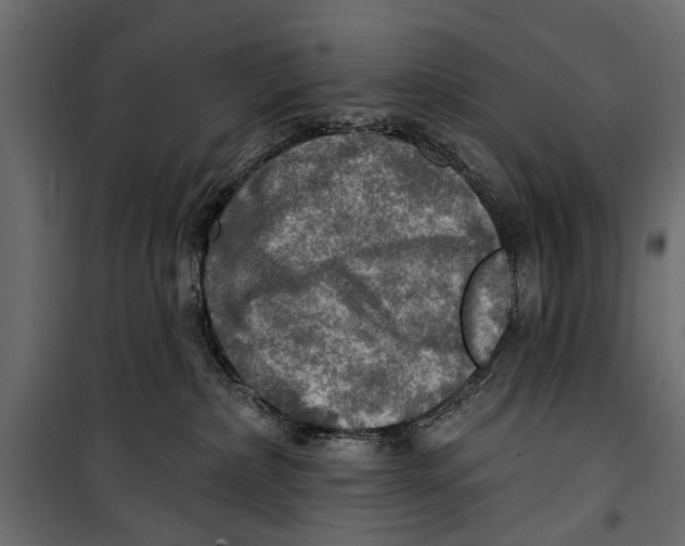 X0000099950236200806201321