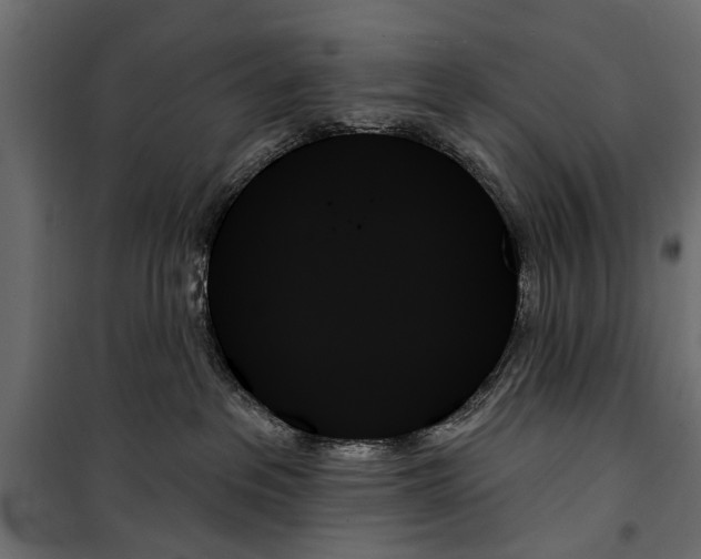 X0000099950237200806201321