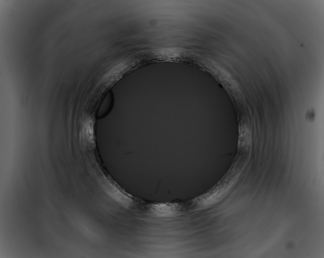X0000099950238200806201321