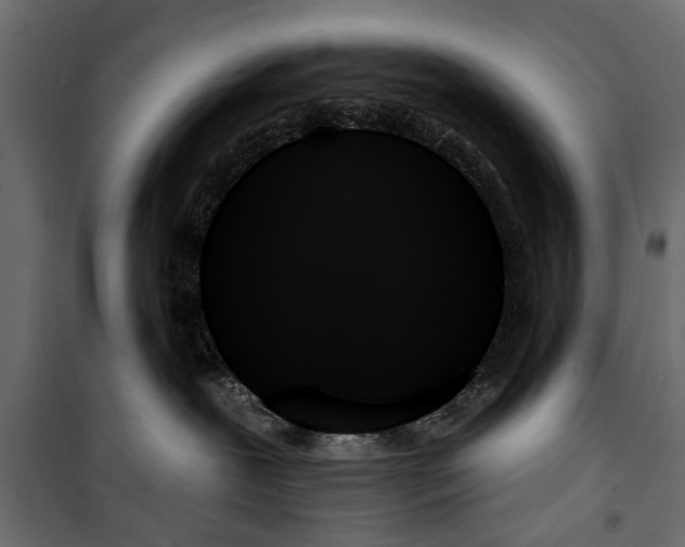 X0000099950239200806201321