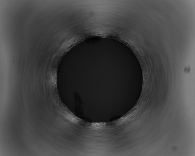 X0000099950240200806201321