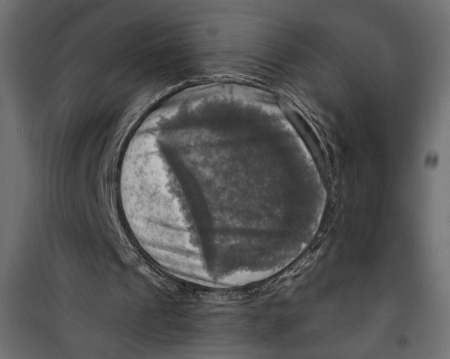 X0000099950241200806201320
