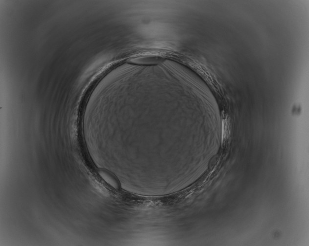 X0000099950243200806201320