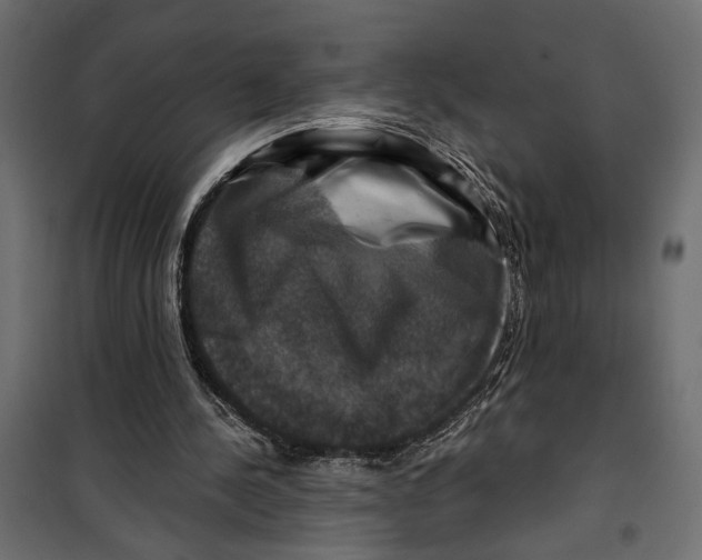 X0000099950244200806201320