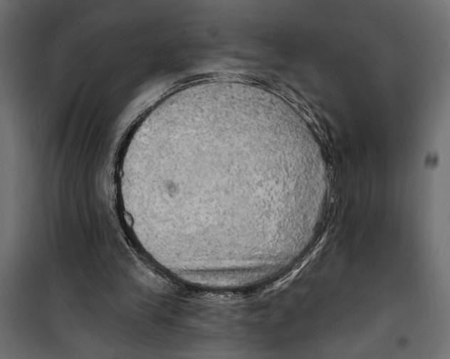 X0000099950245200806201320