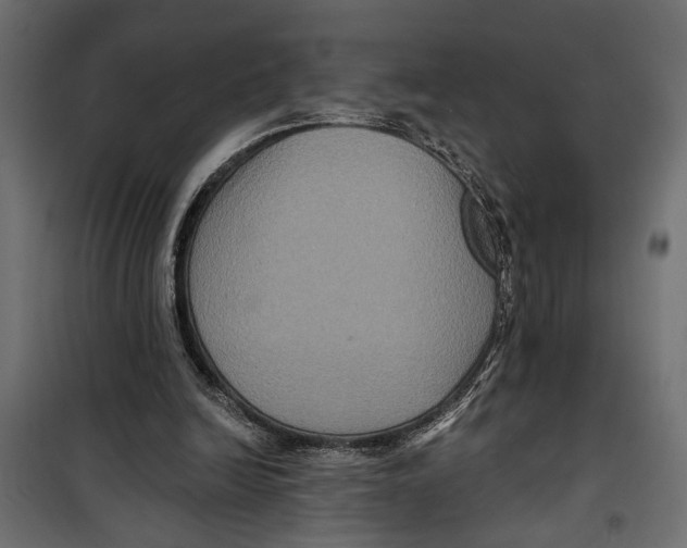 X0000099950246200806201320