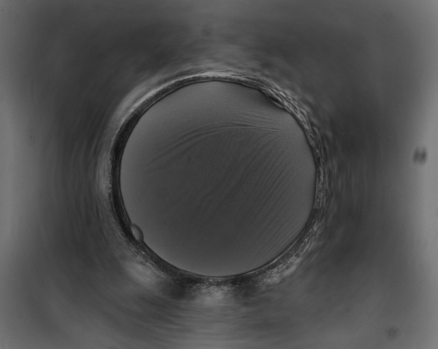 X0000099950247200806201320
