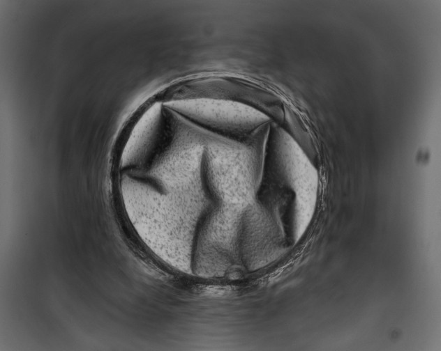 X0000099950248200806201320