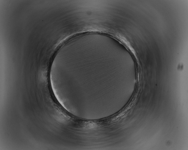X0000099950249200806201320