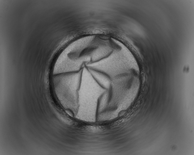 X0000099950250200806201320