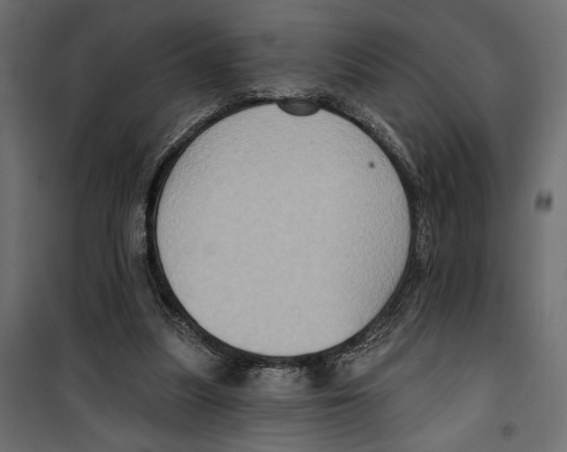 X0000099950251200806201320