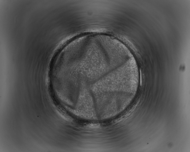X0000099950252200806201320