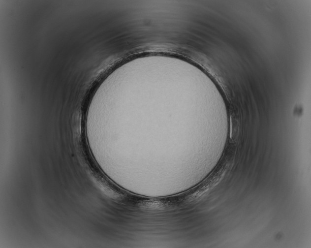 X0000099950253200806201320