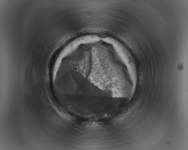 X0000099950254200806201320