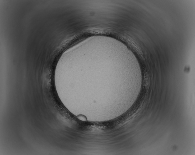 X0000099950255200806201320