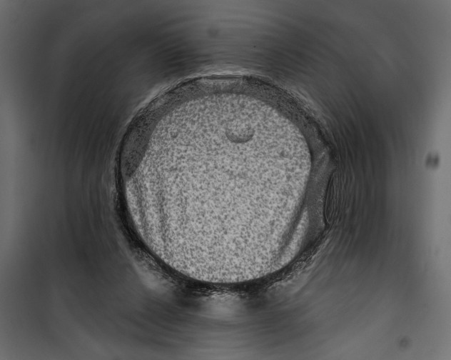 X0000099950256200806201320