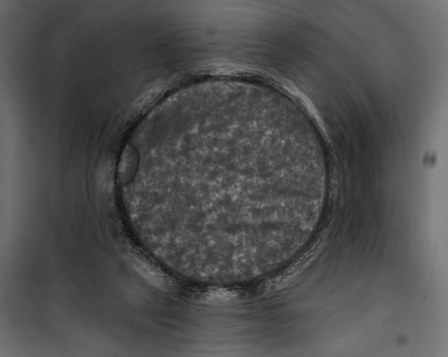 X0000099950257200806201320