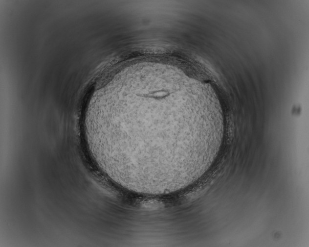 X0000099950258200806201320