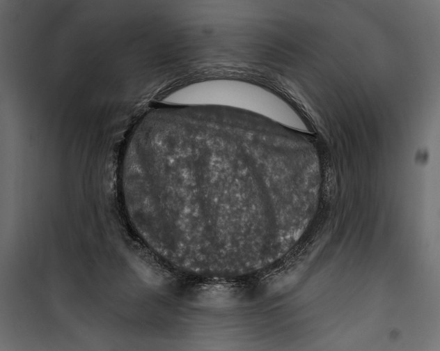 X0000099950259200806201320