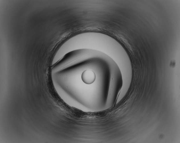 X0000099950260200806201320