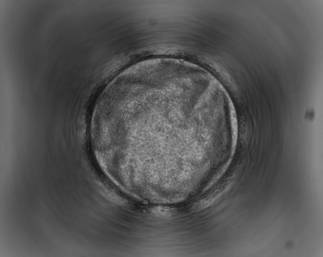 X0000099950261200806201320