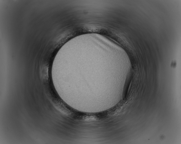 X0000099950262200806201320