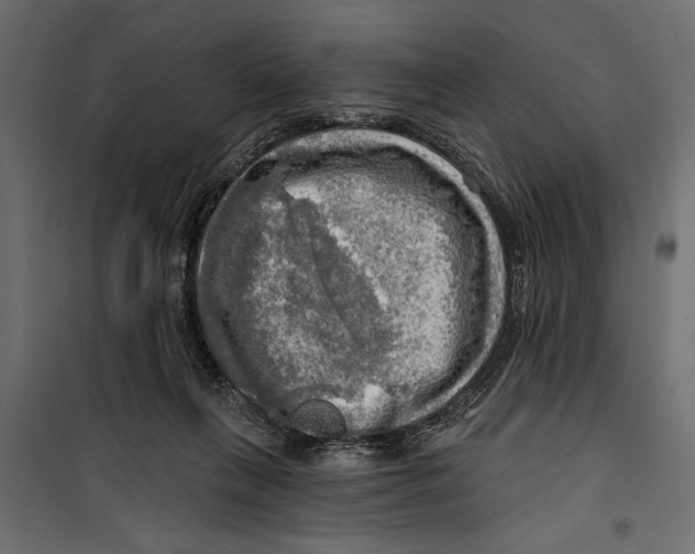 X0000099950263200806201320