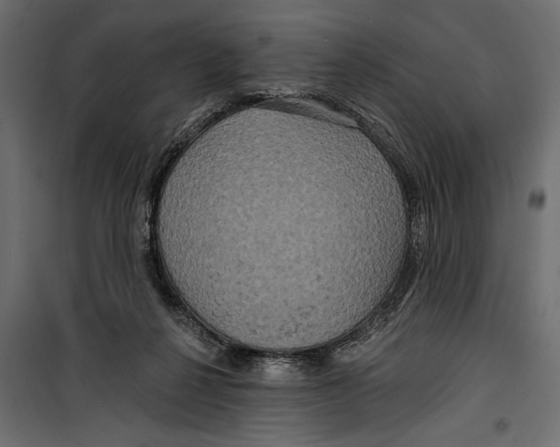 X0000099950264200806201320