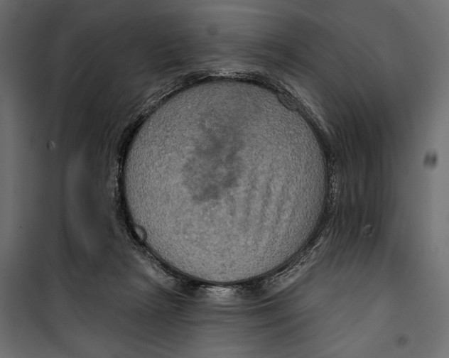 X0000099950265200806201320