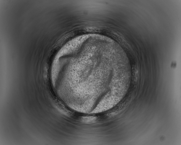 X0000099950266200806201320
