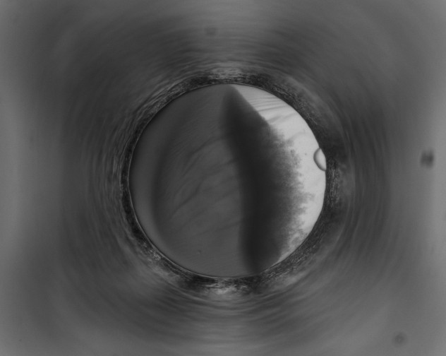 X0000099950267200806201320
