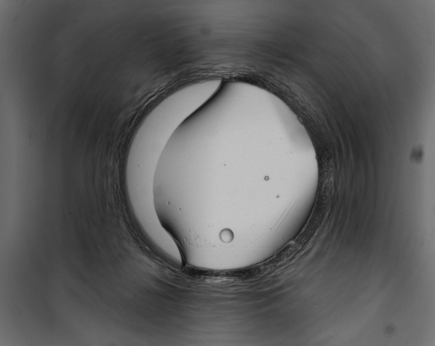 X0000099950268200806201320