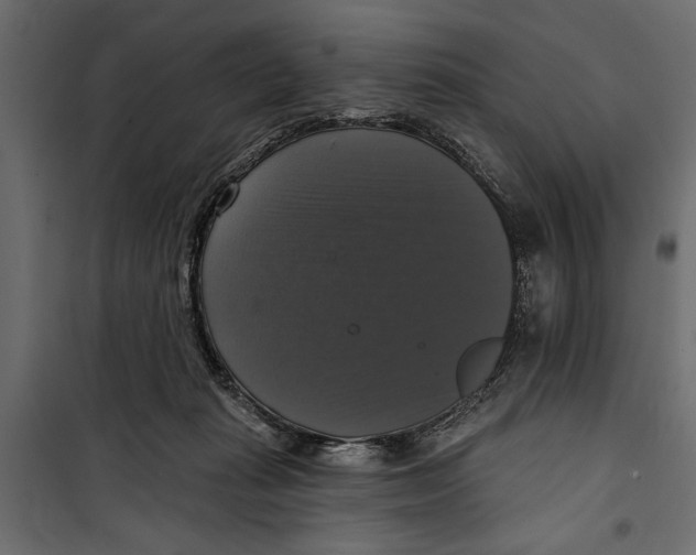 X0000099950269200806201320