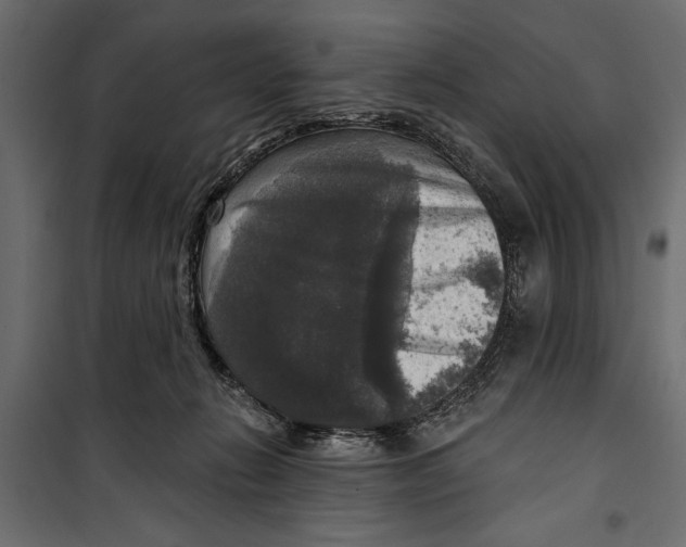 X0000099950270200806201320