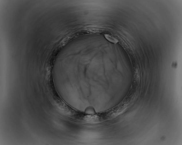 X0000099950271200806201320