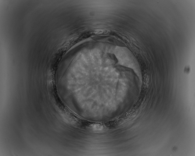 X0000099950272200806201320