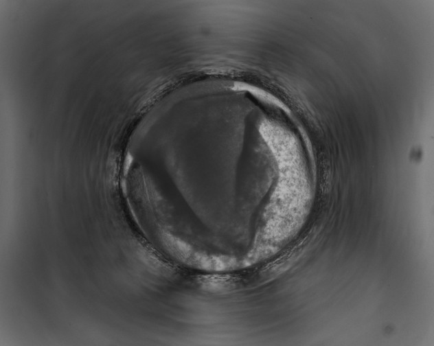 X0000099950273200806201320