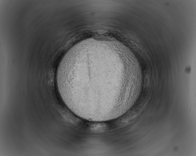 X0000099950274200806201320