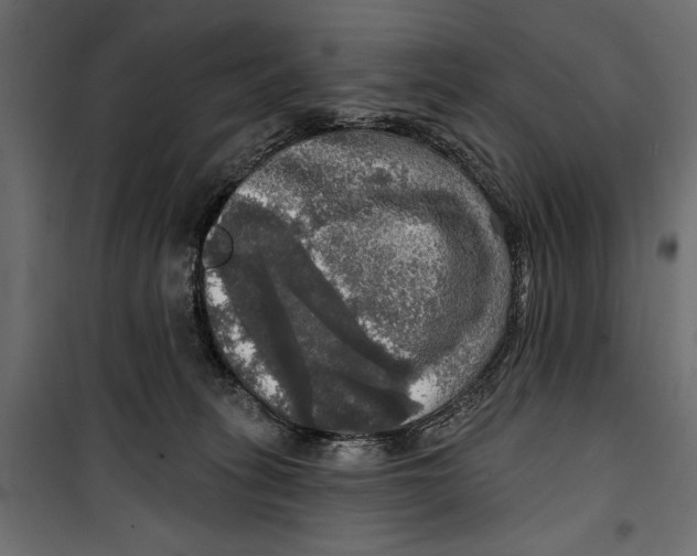 X0000099950275200806201320