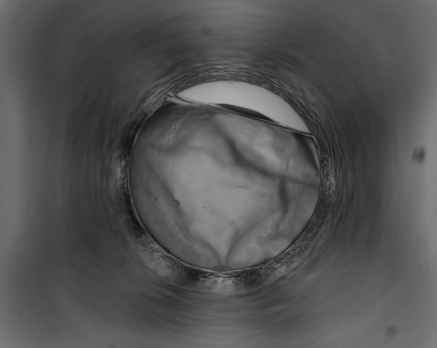 X0000099950276200806201320