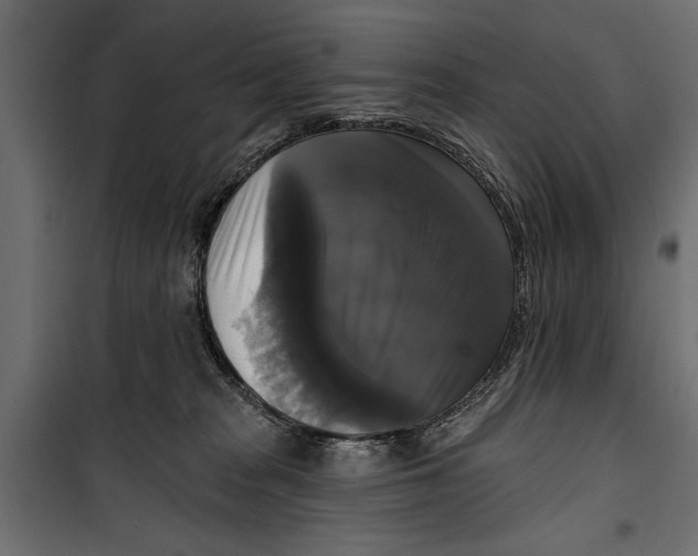 X0000099950277200806201320