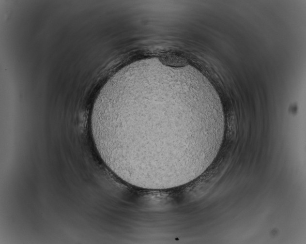 X0000099950278200806201320