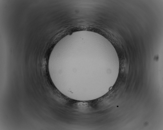 X0000099950279200806201320