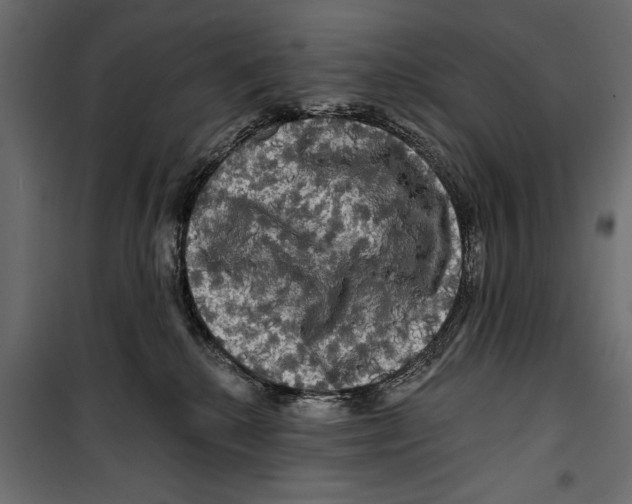 X0000099950280200806201321