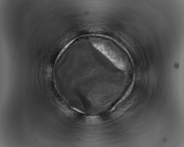 X0000099950281200806201321