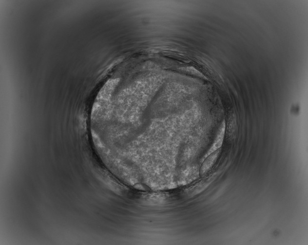 X0000099950282200806201321